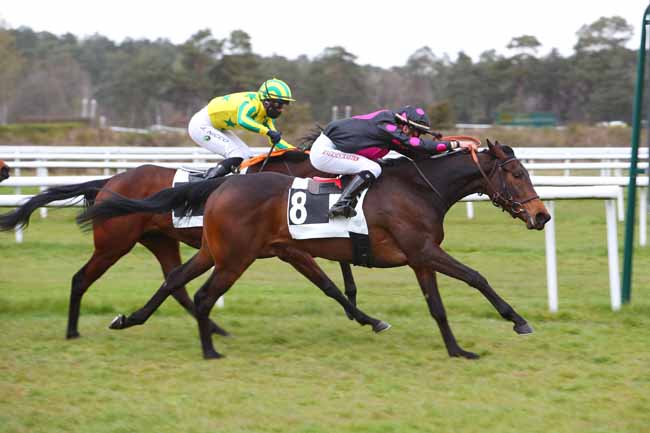 Photo d'arrivée de la course pmu PRIX DES BOULEAUX à FONTAINEBLEAU le Vendredi 9 avril 2021