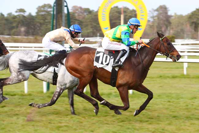 Photo d'arrivée de la course pmu PRIX DU BARON DE LA ROCHETTE à FONTAINEBLEAU le Vendredi 9 avril 2021