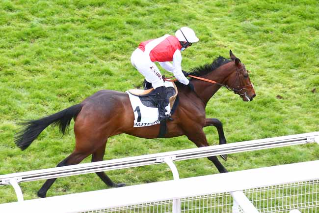 Photo d'arrivée de la course pmu PRIX CHAMPOREAU à AUTEUIL le Samedi 10 avril 2021