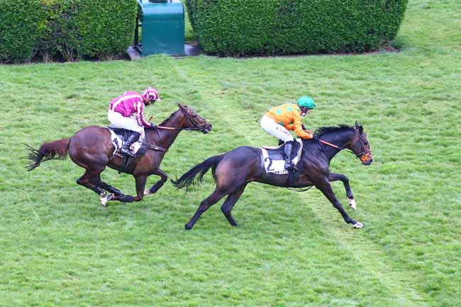 Photo d'arrivée de la course pmu PRIX MURAT à AUTEUIL le Samedi 10 avril 2021