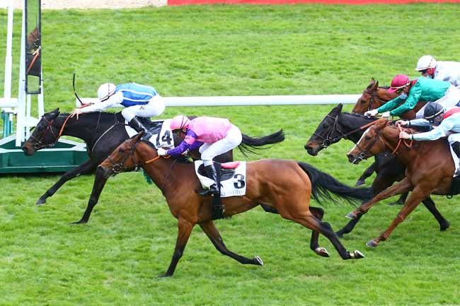 Photo d'arrivée de la course pmu PRIX ZARKAVA - FONDS EUROPEEN DE L'EELEVAGE à LONGCHAMP le Dimanche 11 avril 2021