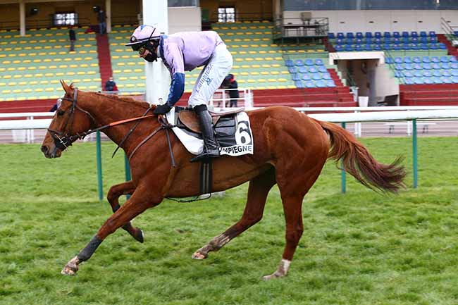 Photo d'arrivée de la course pmu PRIX DE L'ILE DE RE à COMPIEGNE le Lundi 12 avril 2021