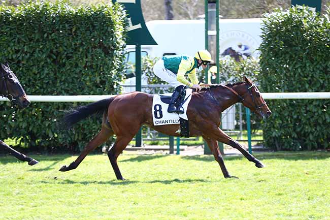 Photo d'arrivée de la course pmu PRIX DE LA FUTAIE DES EPINETTES à CHANTILLY le Mardi 13 avril 2021