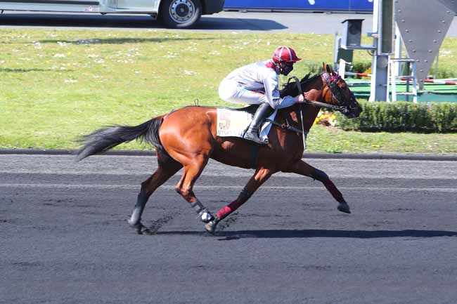 Photo d'arrivée de la course pmu PRIX AETHRA à PARIS-VINCENNES le Mardi 13 avril 2021