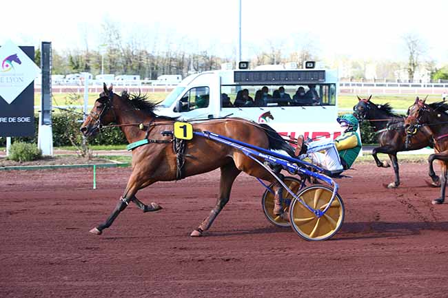 Photo d'arrivée de la course pmu PRIX LESHIPPODROMESDELYON.FR - HENRI CALLIER à LYON LA SOIE le Mercredi 14 avril 2021