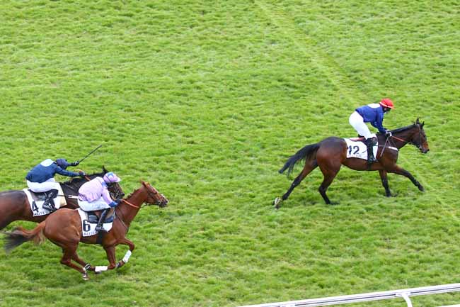 Photo d'arrivée de la course pmu PRIX ROSE OR NO à AUTEUIL le Jeudi 15 avril 2021