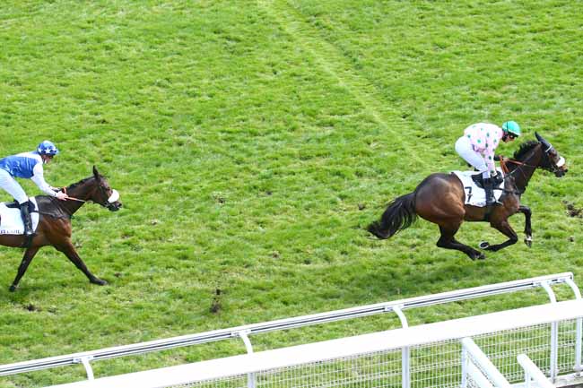 Photo d'arrivée de la course pmu PRIX OTEUIL SF à AUTEUIL le Jeudi 15 avril 2021