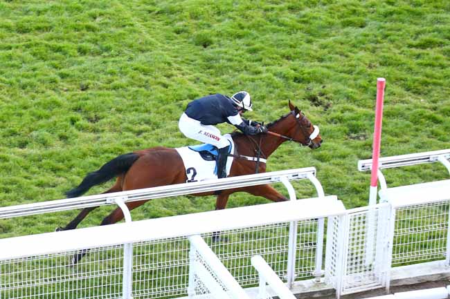 Photo d'arrivée de la course pmu PRIX DE BORELY à AUTEUIL le Jeudi 15 avril 2021