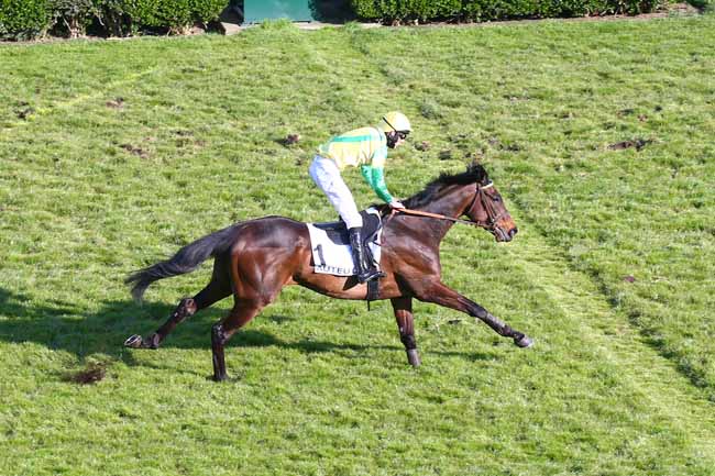 Photo d'arrivée de la course pmu PRIX DE SAUMUR à AUTEUIL le Jeudi 15 avril 2021