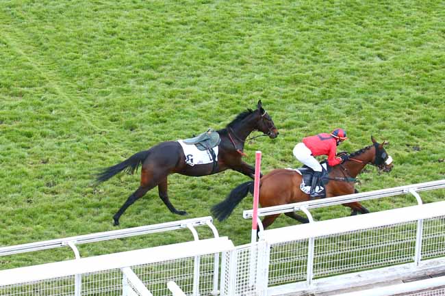 Photo d'arrivée de la course pmu PRIX ROSE LAUREL à AUTEUIL le Jeudi 15 avril 2021