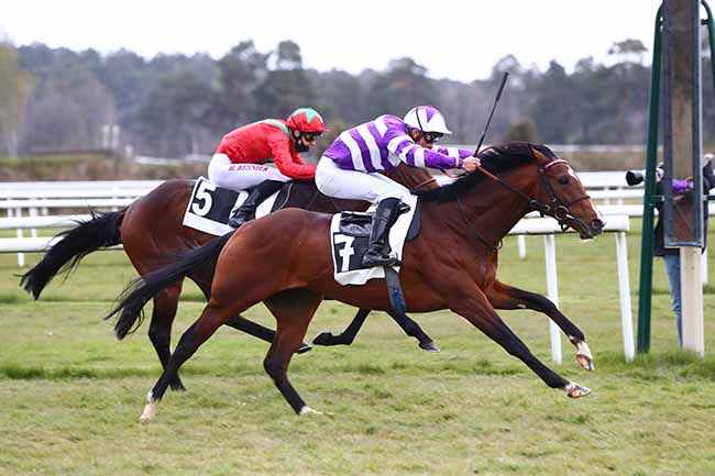 Photo d'arrivée de la course pmu PRIX DE LA MALMONTAGNE à FONTAINEBLEAU le Vendredi 16 avril 2021