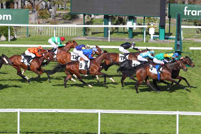 Photo d'arrivée de la course pmu PRIX DE COURTRAI à SAINT-CLOUD le Lundi 19 avril 2021