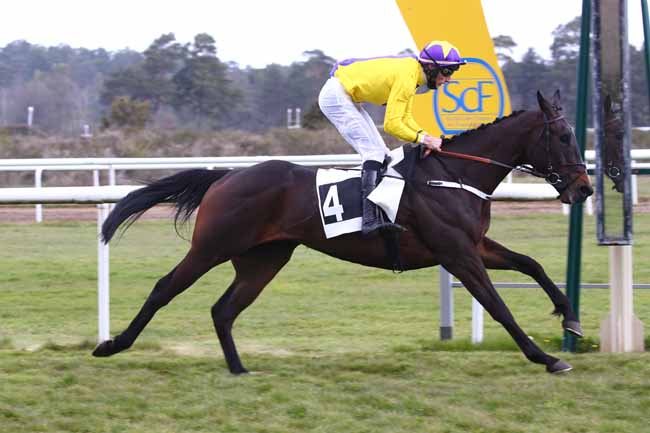 Photo d'arrivée de la course pmu PRIX DU BOIS ROND à FONTAINEBLEAU le Mardi 20 avril 2021