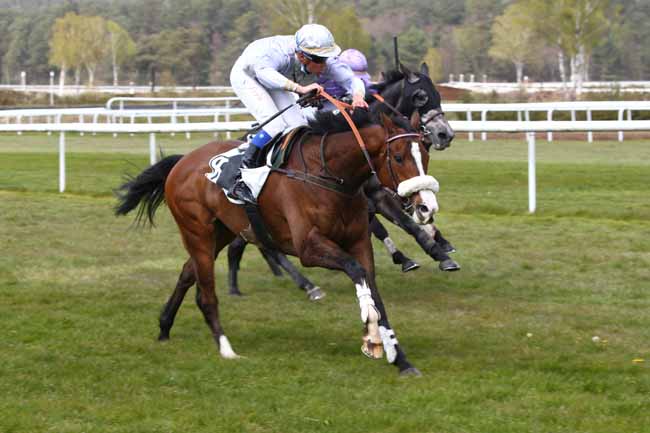 Photo d'arrivée de la course pmu PRIX DES GENETS à FONTAINEBLEAU le Mardi 20 avril 2021