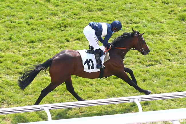 Photo d'arrivée de la course pmu PRIX WILD MONARCH (POULAINS) à AUTEUIL le Mercredi 21 avril 2021