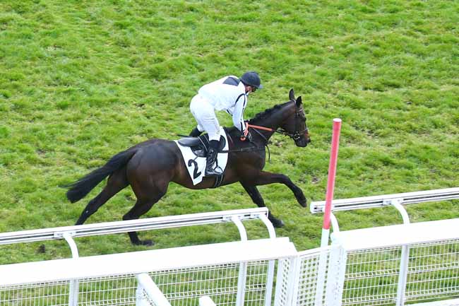Photo d'arrivée de la course pmu PRIX ARTHUR VEIL-PICARD à AUTEUIL le Mercredi 21 avril 2021