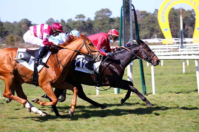 Photo d'arrivée de la course pmu PRIX DE LA PINEDE à FONTAINEBLEAU le Samedi 24 avril 2021