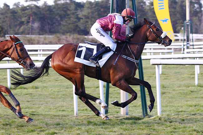 Photo d'arrivée de la course pmu PRIX DES NOYERS à FONTAINEBLEAU le Samedi 24 avril 2021