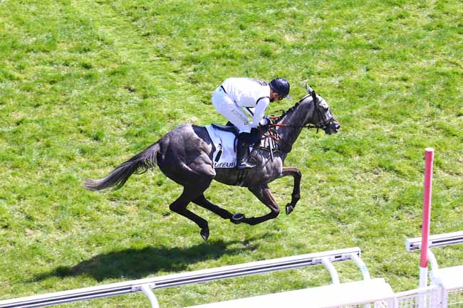 Photo d'arrivée de la course pmu PRIX DE MARSAN à AUTEUIL le Dimanche 25 avril 2021