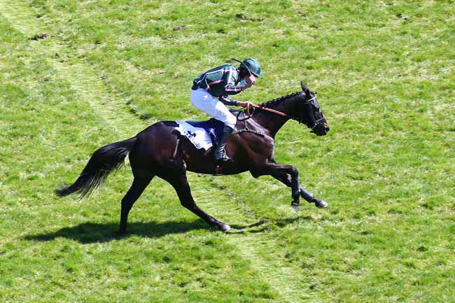 Photo d'arrivée de la course pmu PRIX DU PRESIDENT DE LA REPUBLIQUE à AUTEUIL le Dimanche 25 avril 2021