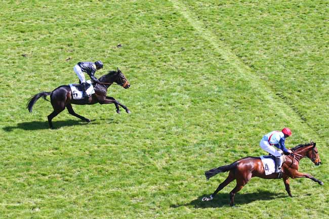 Photo d'arrivée de la course pmu PRIX WILD MONARCH à AUTEUIL le Dimanche 25 avril 2021