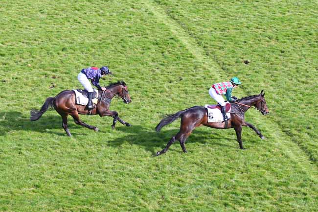 Photo d'arrivée de la course pmu PRIX ROMANTISME à AUTEUIL le Dimanche 25 avril 2021