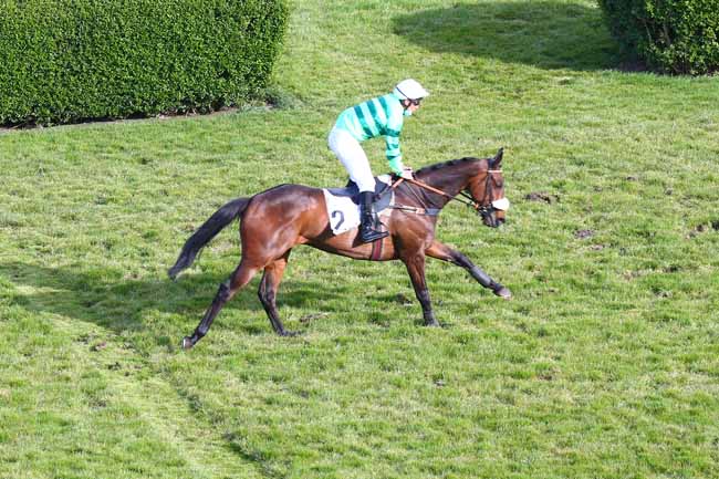Photo d'arrivée de la course pmu PRIX MAURICE DE NEXON à AUTEUIL le Dimanche 25 avril 2021