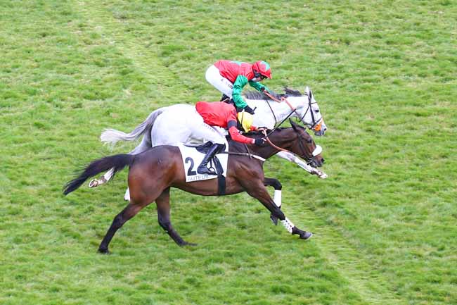 Photo d'arrivée de la course pmu PRIX INGRE à AUTEUIL le Vendredi 30 avril 2021