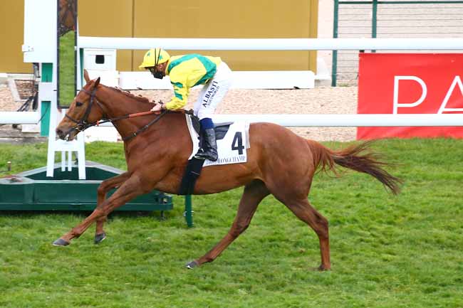 Photo d'arrivée de la course pmu PRIX DE BARBEVILLE à LONGCHAMP le Dimanche 2 mai 2021
