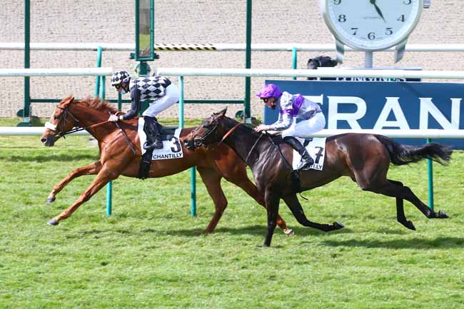Photo d'arrivée de la course pmu PRIX DE LA FORET DU LYS à CHANTILLY le Mardi 4 mai 2021