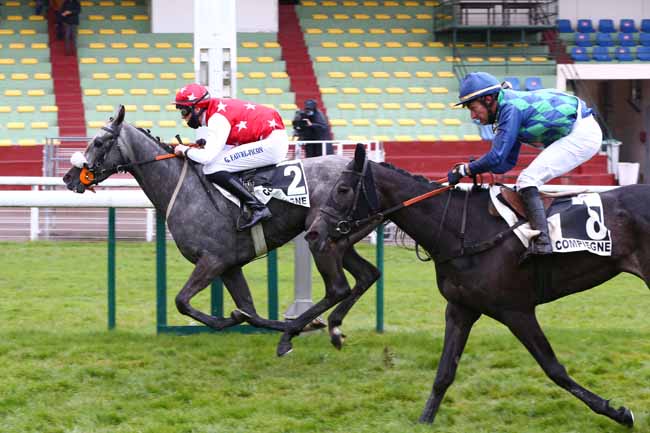 Photo d'arrivée de la course pmu PRIX NIVOLET à COMPIEGNE le Jeudi 6 mai 2021
