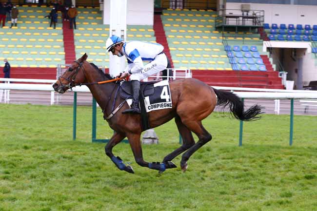Photo d'arrivée de la course pmu PRIX DU MORBIHAN à COMPIEGNE le Jeudi 6 mai 2021