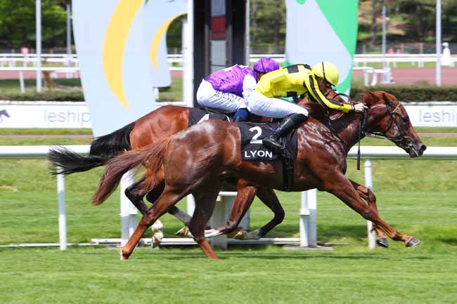 Photo d'arrivée de la course pmu PRIX DES ROSES à LYON-PARILLY le Samedi 8 mai 2021