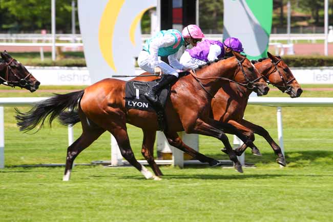 Photo d'arrivée de la course pmu PRIX LESHIPPODROMESDELYON.FR à LYON-PARILLY le Samedi 8 mai 2021