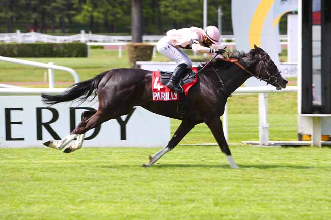 Photo d'arrivée de la course pmu PRIX BEDEL à LYON-PARILLY le Samedi 8 mai 2021