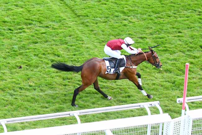 Photo d'arrivée de la course pmu PRIX FAUCHE LE PRE à AUTEUIL le Samedi 8 mai 2021