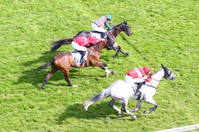 Photo d'arrivée de la course pmu PRIX DU VIVARAIS à AUTEUIL le Samedi 8 mai 2021