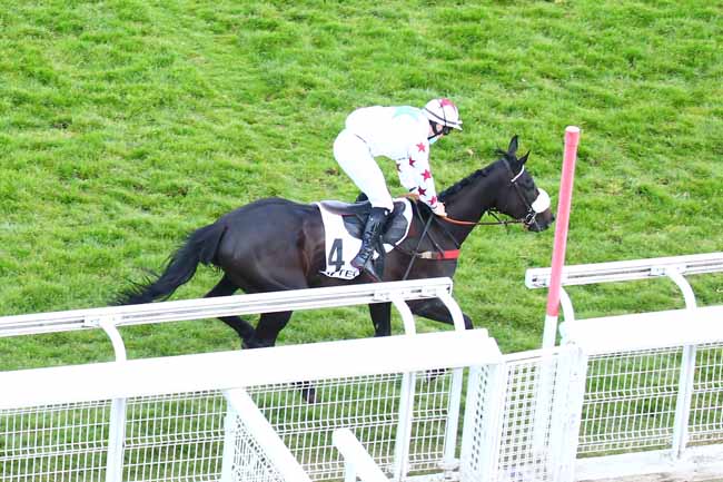 Photo d'arrivée de la course pmu PRIX BURGRAVE II à AUTEUIL le Samedi 8 mai 2021