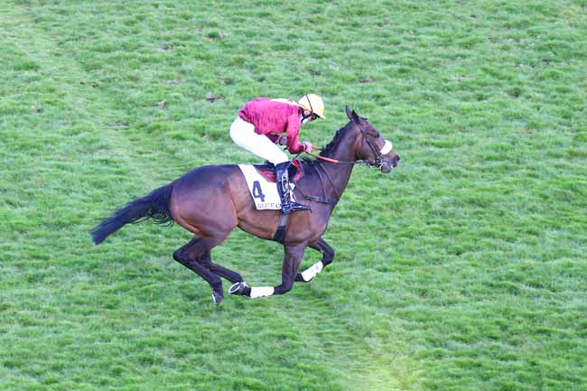Photo d'arrivée de la course pmu PRIX LA VEINE à AUTEUIL le Samedi 8 mai 2021