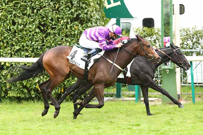 Photo d'arrivée de la course pmu PRIX DE LA MERE MARIE à CHANTILLY le Mardi 11 mai 2021