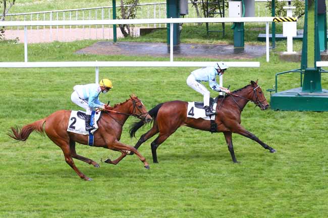 Photo d'arrivée de la course pmu PRIX ROYAL HAMPTON à SAINT-CLOUD le Vendredi 14 mai 2021