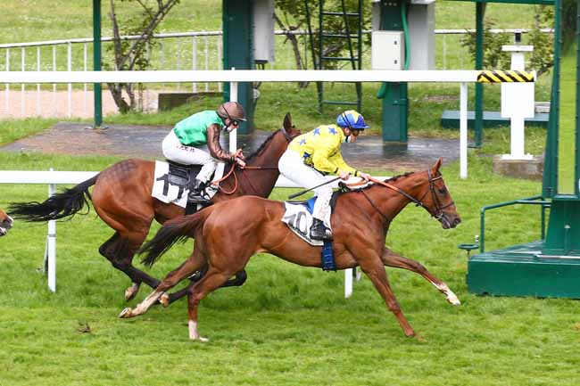 Photo d'arrivée de la course pmu PRIX DE BUZENVAL à SAINT-CLOUD le Vendredi 14 mai 2021