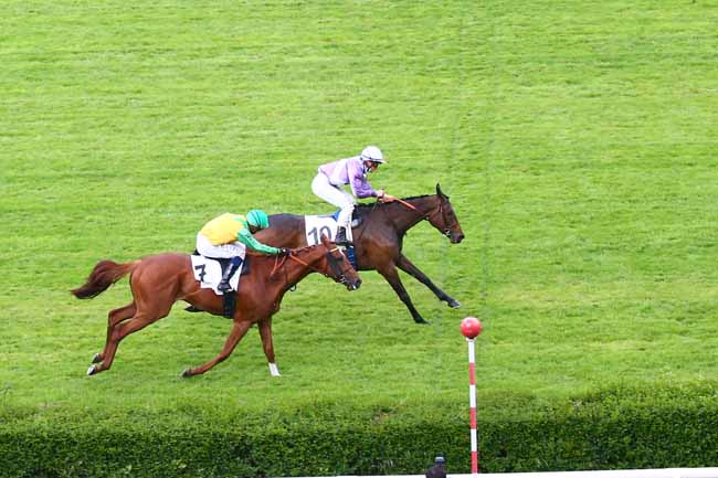 Photo d'arrivée de la course pmu PRIX DES NARCISSES à SAINT-CLOUD le Vendredi 14 mai 2021
