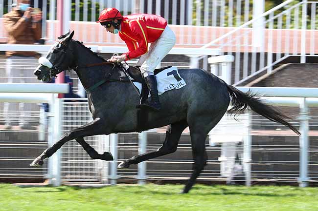 Photo d'arrivée de la course pmu PRIX DU NIVERNAIS à AUTEUIL le Samedi 15 mai 2021