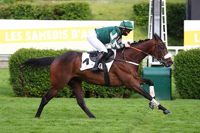 Photo d'arrivée de la course pmu PRIX REGALIA à AUTEUIL le Samedi 15 mai 2021