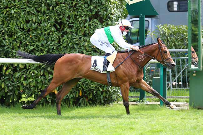 Photo d'arrivée de la course pmu PRIX TEXANITA à CHANTILLY le Lundi 17 mai 2021