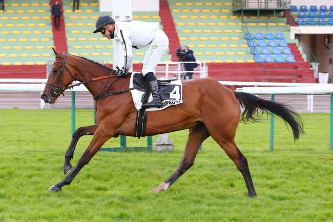 Photo d'arrivée de la course pmu PRIX COLLINS à COMPIEGNE le Lundi 17 mai 2021