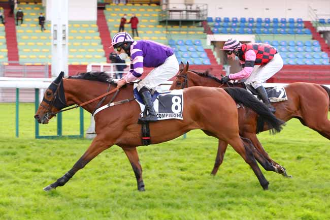 Photo d'arrivée de la course pmu PRIX DU CHER à COMPIEGNE le Lundi 17 mai 2021