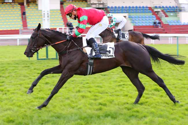 Photo d'arrivée de la course pmu PRIX DU GRAND MAITRE à COMPIEGNE le Lundi 17 mai 2021