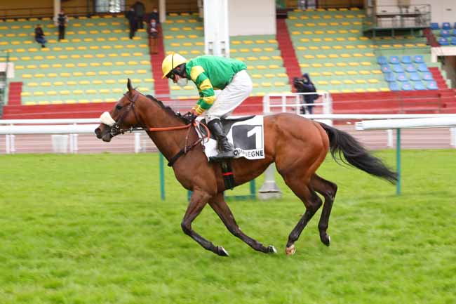 Photo d'arrivée de la course pmu PRIX EL PASO III à COMPIEGNE le Lundi 17 mai 2021